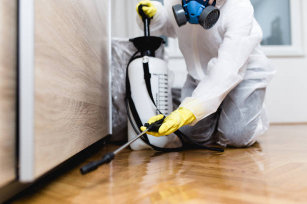 Wasp Removal Services in Hawthorne, FL