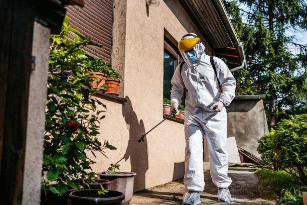 Best Spider Control Near Me  in Hawthorne, FL