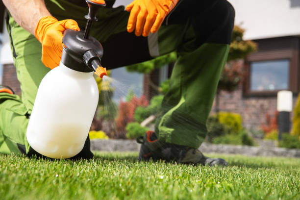 Best Best Pest Control Companies  in Hawthorne, FL