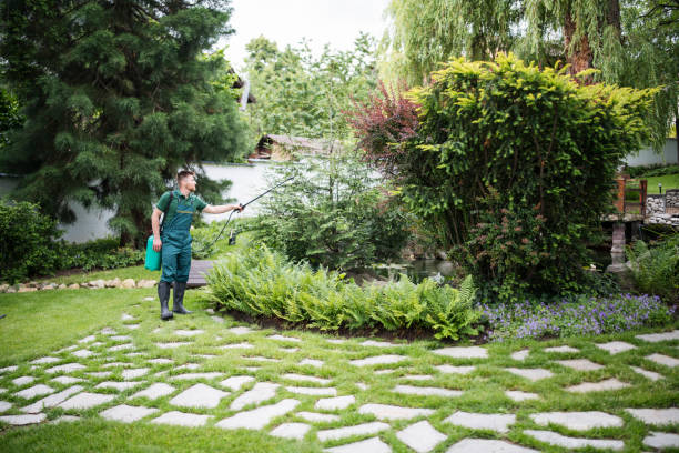Best Ant Control Services  in Hawthorne, FL