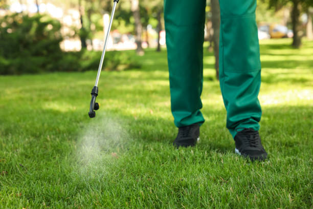 Trusted Hawthorne, FL Pest Control Experts