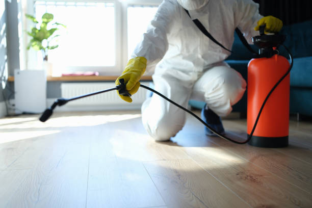 Best Pest Removal Services  in Hawthorne, FL
