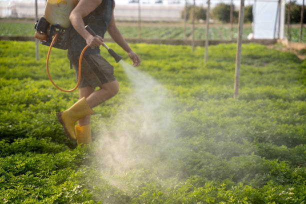 Best Exterminator Services  in Hawthorne, FL