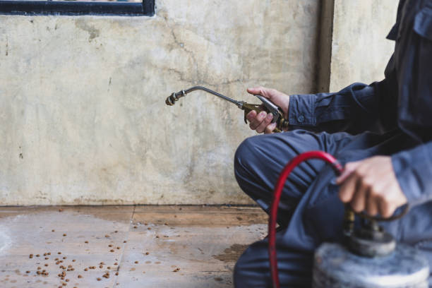 Best Affordable Pest Control Services  in Hawthorne, FL